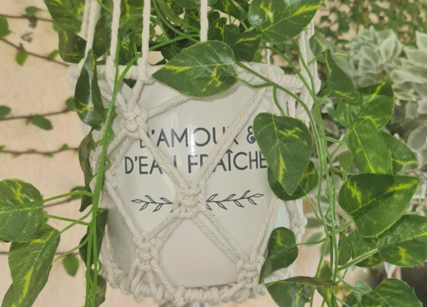 Gite L'Instant Cocooning Baie-Mahault